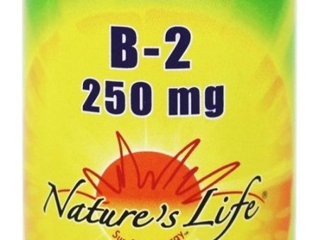 Nature s Life Vitamin B-2 250mg | Powerful Support for Healthy Skin & Metabolism | Easy-to-Swallow Tablets | Non-GMO & Vegetarian | 100ct For Cheap