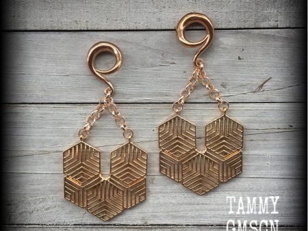 Hexagon gauged earrings-Geometric ear hangers Supply