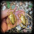 Scarab beetle earrings-Oversize insect earrings on Sale