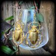 Scarab beetle earrings-Oversize insect earrings on Sale